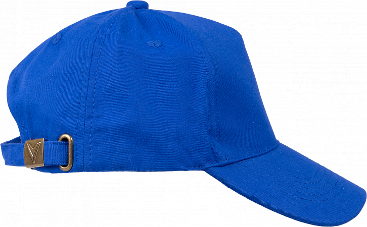 Бейсболка васильковая, электрик